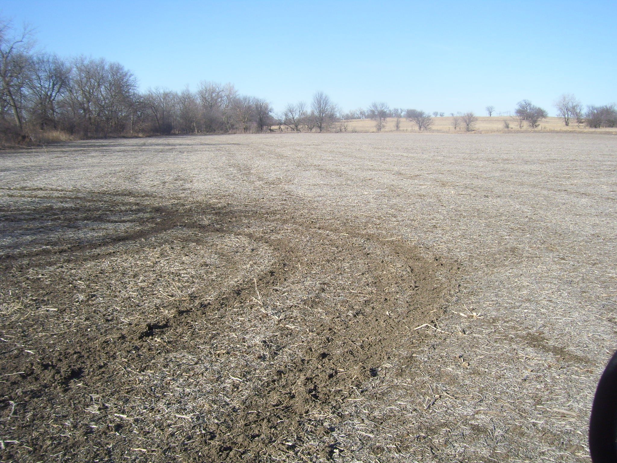 Pearl Real Estate and Appraisal Services